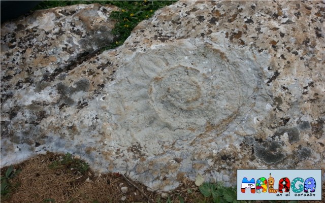 Huellas de Ammonites en el Torcal de Antequera