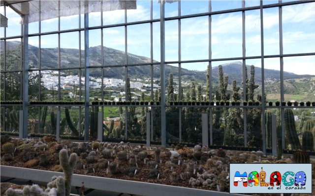 Jardín Botánico de Cactus y otras Suculentas 