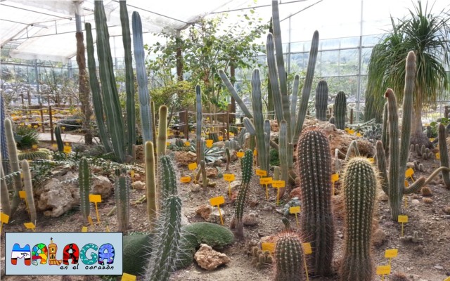 Jardín Botánico de Cactus y otras Suculentas 