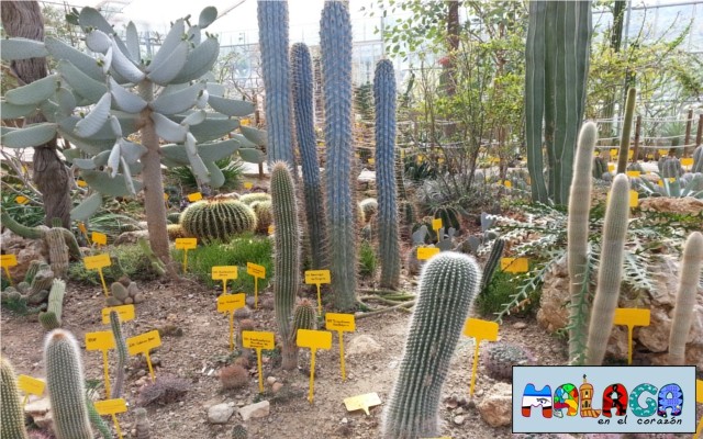 Jardín Botánico de Cactus y otras Suculentas 