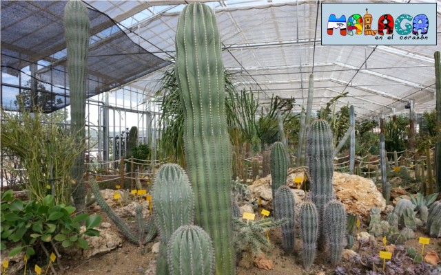 Jardín Botánico de Cactus y otras Suculentas 