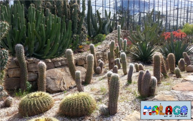 Jardín Botánico de Cactus y otras Suculentas 