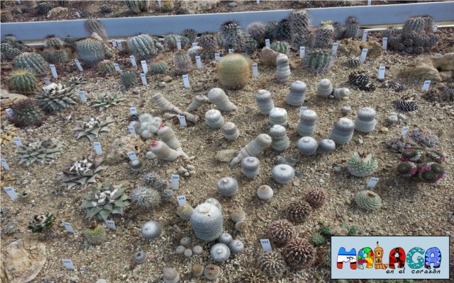 Jardín Botánico de Cactus y otras Suculentas 