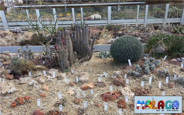 Jardín Botánico de Cactus y otras Suculentas 