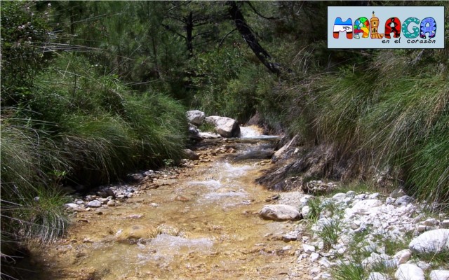 Ruta senderista del Río Higuerón en Frigiliana