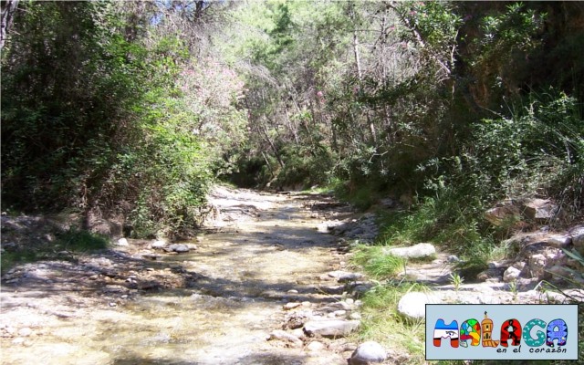 Ruta senderista del Río Higuerón en Frigiliana