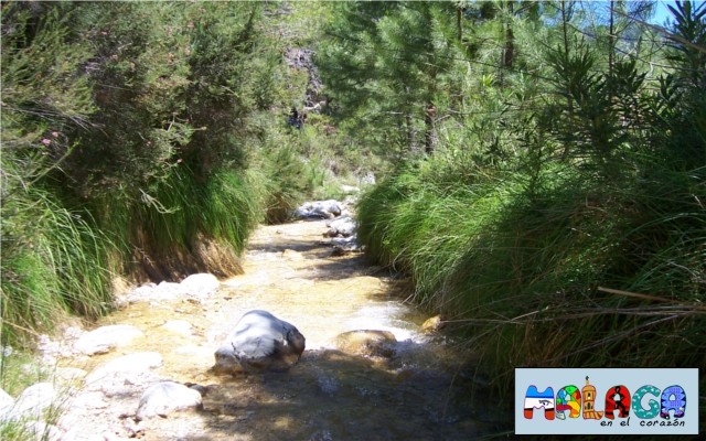 Ruta senderista del Río Higuerón en Frigiliana