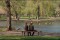 El indomable Will Hunting y el Parque de la Paloma