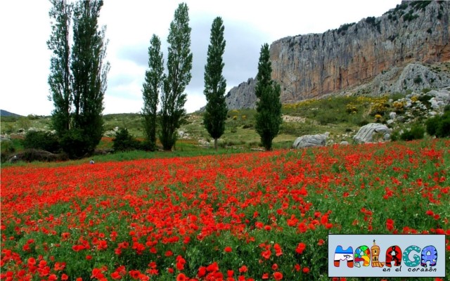 El Torcal de Antequera como un cuadro Impresionista de Monet